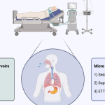 Ventilator association pneumonia: the unfortunate risk for people under mechanic ventilation diagnosis and management