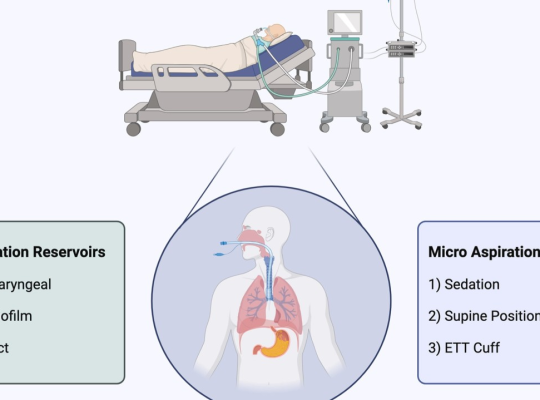 ventilator associated pneumonia VAP