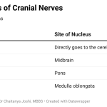 One liners related to Cranial Nerve