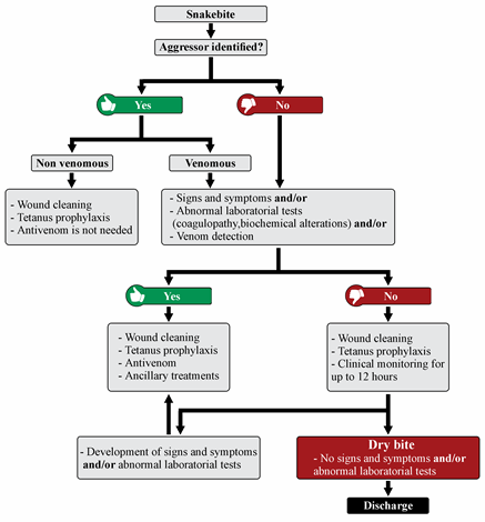 management of dry and nondry bite of a venomous snake