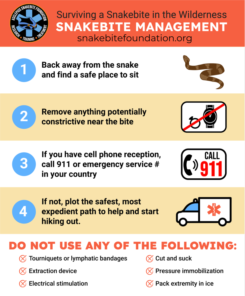 steps of snakebite survival guidelines