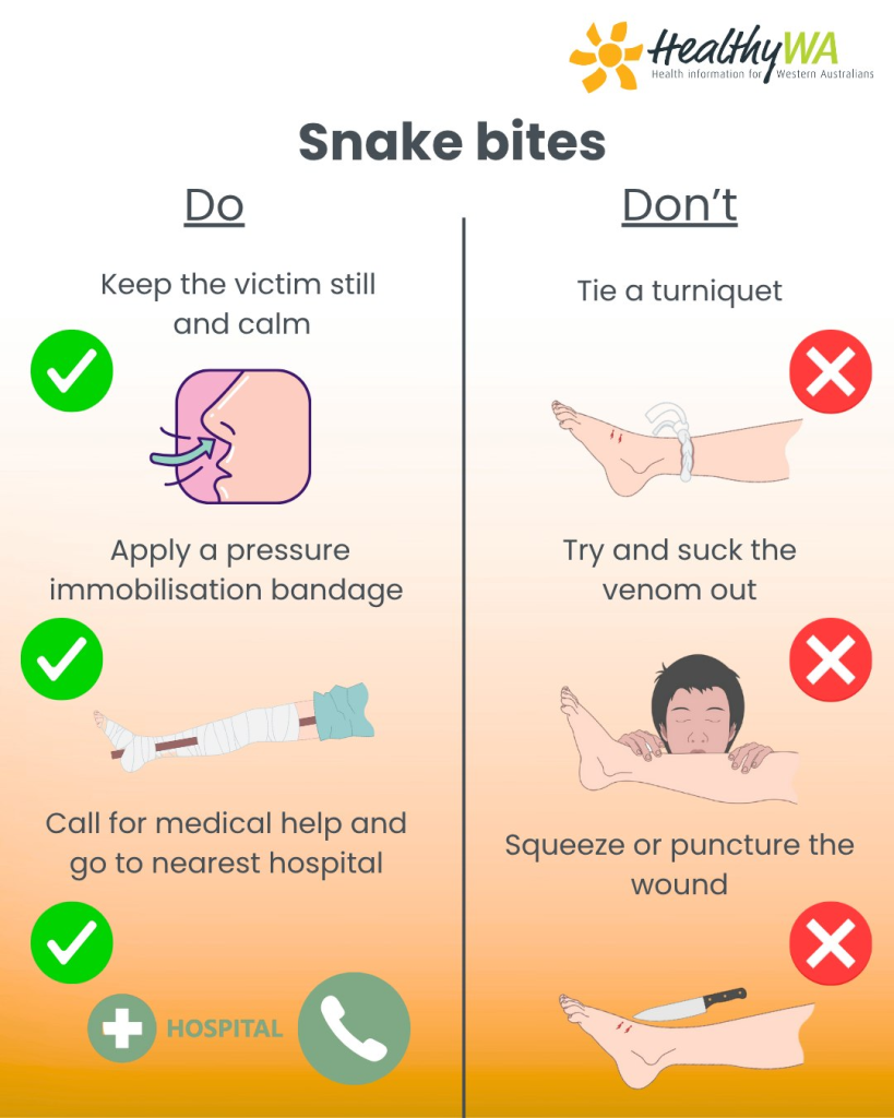 Do's and Dont's of snakebite