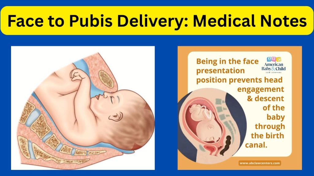 Top 5 Multiple-choice questions (MCQs) on obstetrics You Must Know Now ...