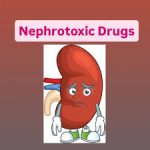 What are Common Nephrotoxic Drugs?