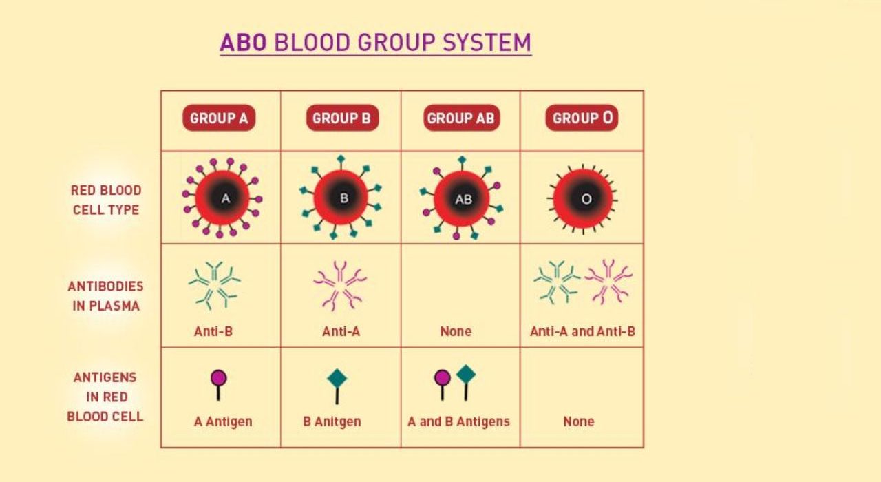 blood group