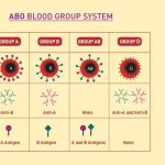 The Blood That Baffled Science for 50 Years is Solved Now