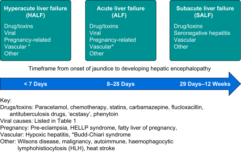 types of liver failure according to time