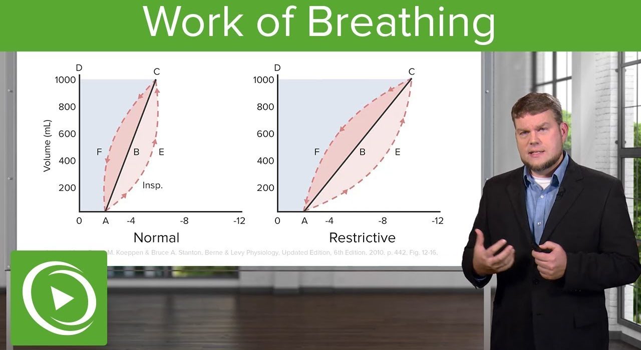 work of breathing