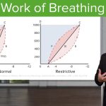 work of breathing