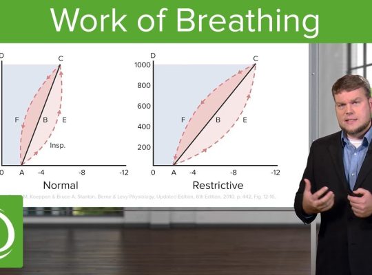 work of breathing
