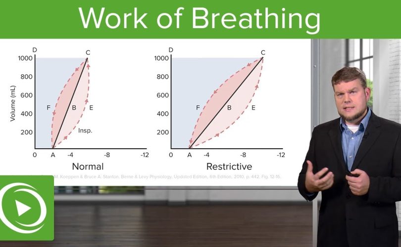work of breathing